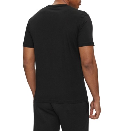 3DPT81