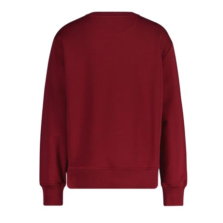 Sweatshirts Gant plumped red &mdash; fot 2