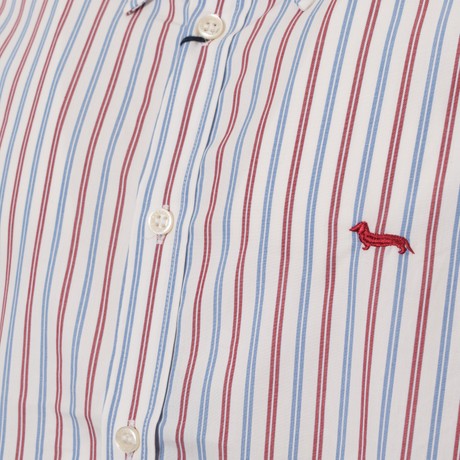HARMONT & BLAINE CRBO880 - BIANCO|ROSSO| CELESTE - CAMICIE - Image 2