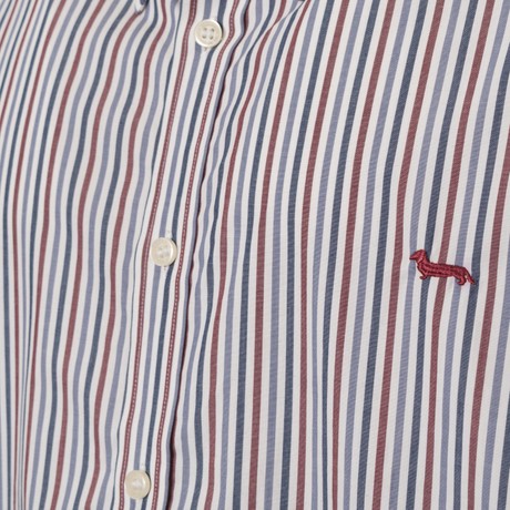 HARMONT & BLAINE CRBO880 - BIANCO|BORDEAUX|BLU - SHIRTS - Image 2