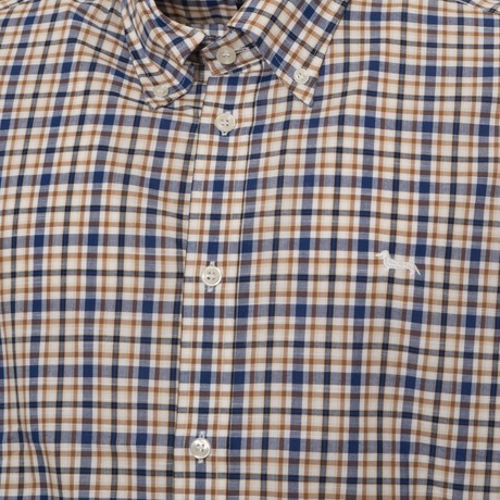 HARMONT & BLAINE CRDO880 - MARRONE BLU BIANCO - CAMICIE - Image 2