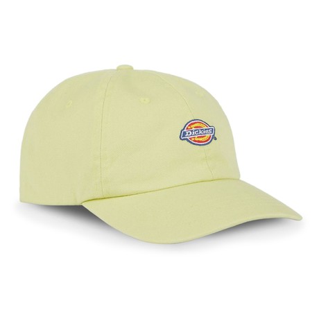 DICKIES — D0A4TKVH14