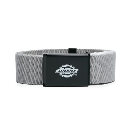 DICKIES — D0A4X7ED06