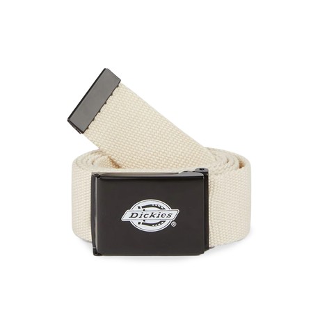 DICKIES — D0A4X7EF90