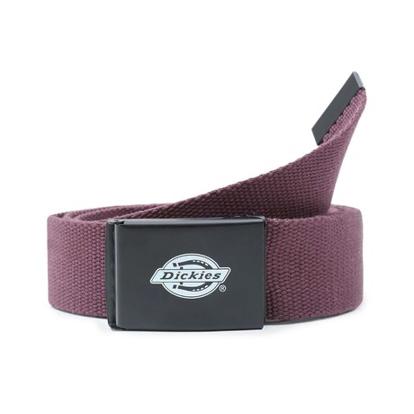 DICKIES — D0A4X7EMR0