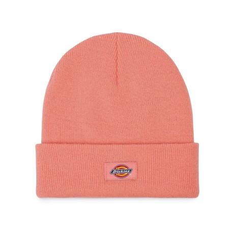 DICKIES — D0A4X7KG02