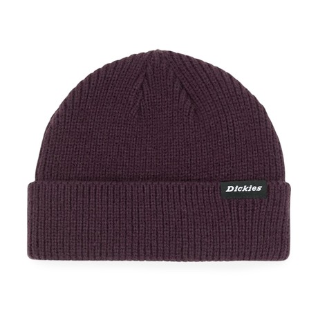 DICKIES — D0A4X7YJ56