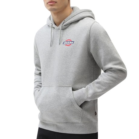 DICKIES — D0A4XAHGYM