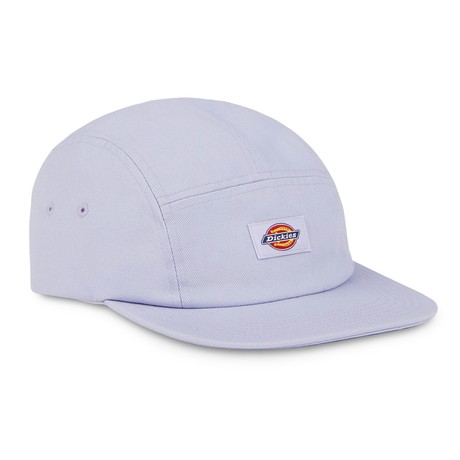 DICKIES — D0A4XC1H18