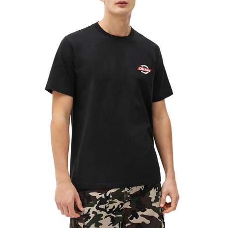 DICKIES — D0A4XDCBLK
