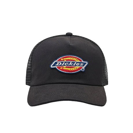DICKIES — D0A4XYGBLK