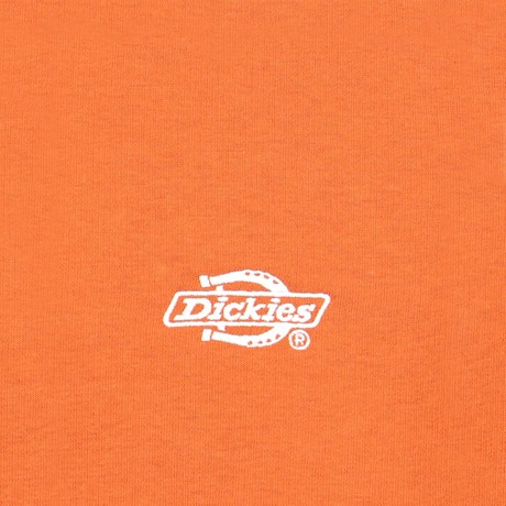 D0A4Y6P