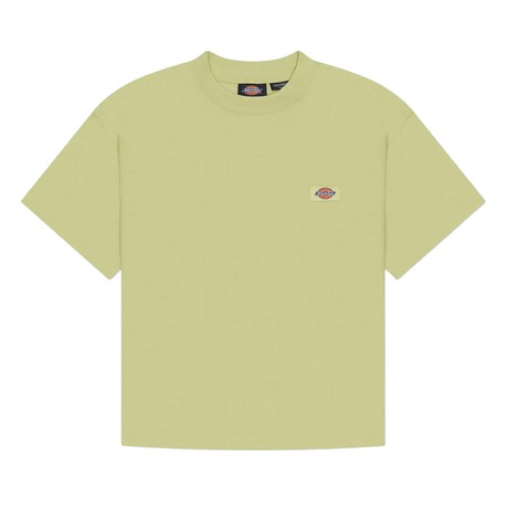DICKIES — D0A4Y8LH14