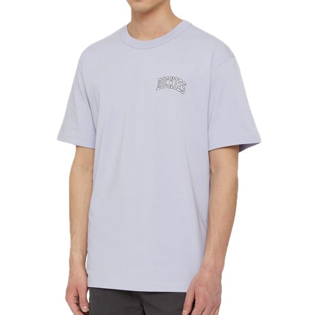 DICKIES — D0A4Y8OH18