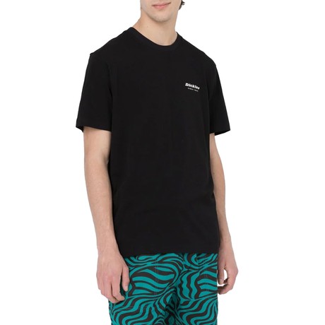 DICKIES — D0A4Y8QBLK