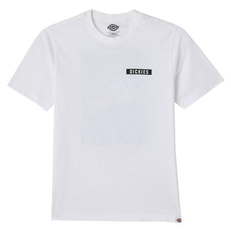 DICKIES — D0A4Y8R