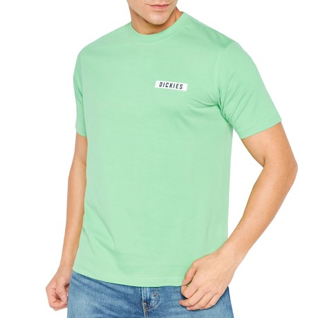 DICKIES — D0A4Y8RE91