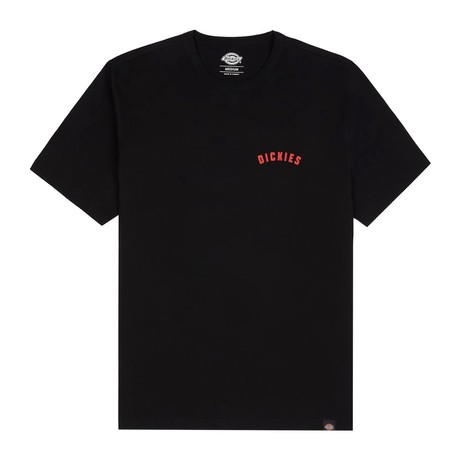DICKIES — D0A4Y91BLK