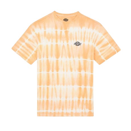 DICKIES — D0A4YBQE83