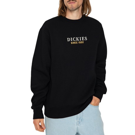 DICKIES — D0A4YEIBLK