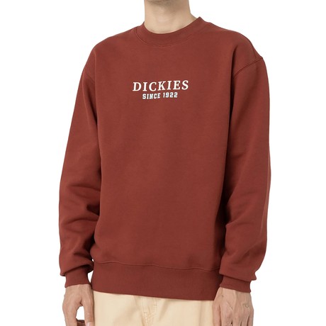 DICKIES — D0A4YEIG04