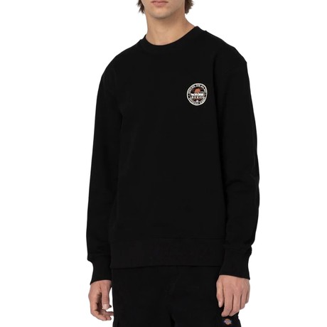 DICKIES — D0A4YEJBLK