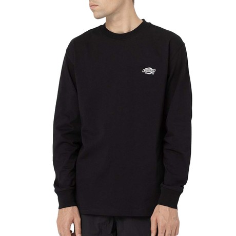 DICKIES — D0A4YFBBLK