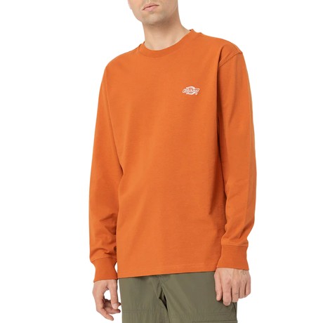 DICKIES — D0A4YFBC05