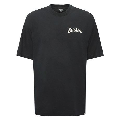 DICKIES — D0A4YJYBLK