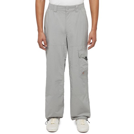 DICKIES — D0A4YLXD06