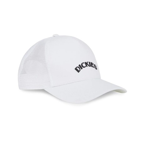 DICKIES — D0A4YPGC58