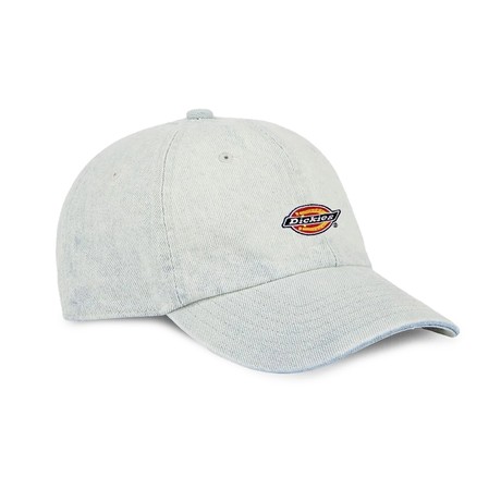 DICKIES — D0A4YPHC15