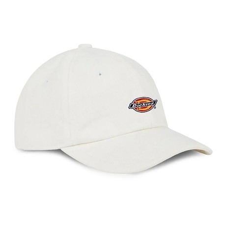 DICKIES — D0A4YPHWHX