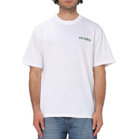 DICKIES — D0A4YR5