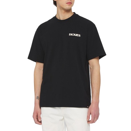 DICKIES — D0A4YR5BLK