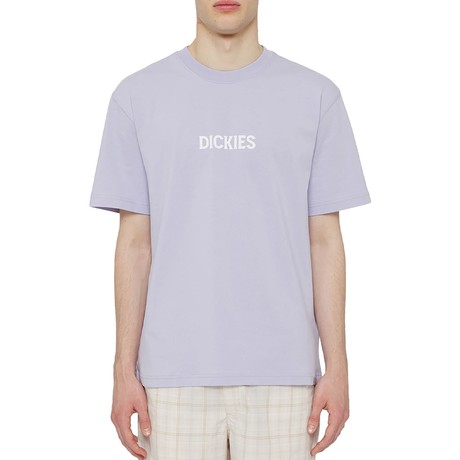DICKIES — D0A4YR7H18