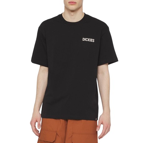 DICKIES — D0A4YRDBLK