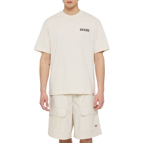 DICKIES — D0A4YRDF90