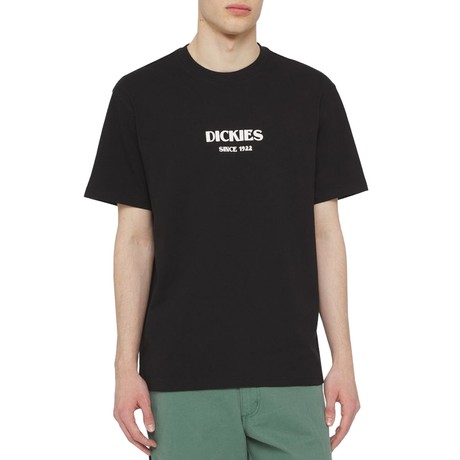 DICKIES — D0A4YRLBLK