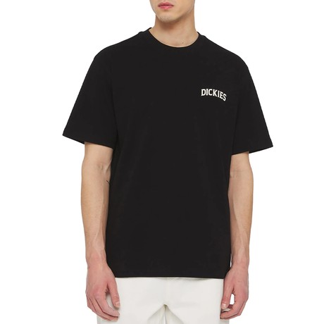 DICKIES — D0A4YRMBLK