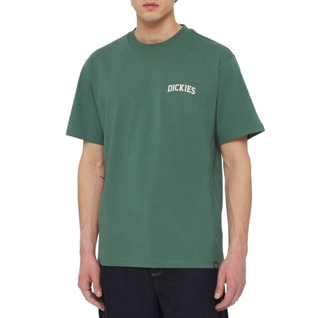 DICKIES — D0A4YRMH15