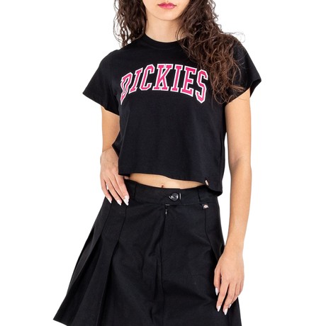 DICKIES — D0A4YS8BLK