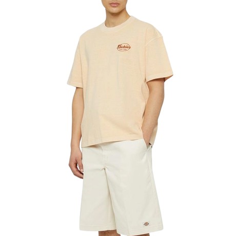 DICKIES — D0A4YSMJ38