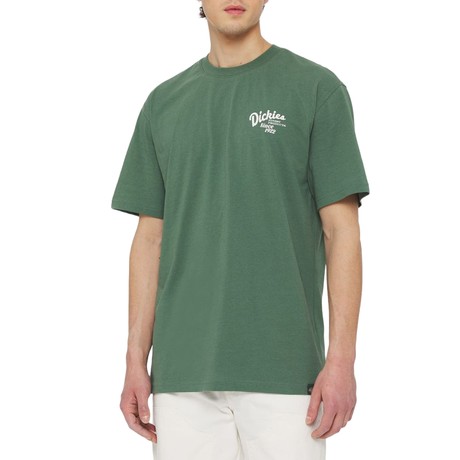 DICKIES — D0A4YYMH15
