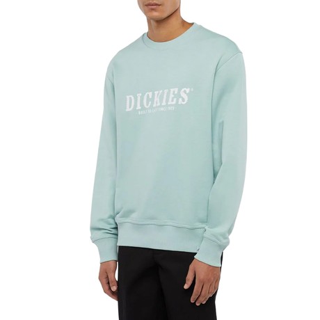 DICKIES — D0A85SVJ59