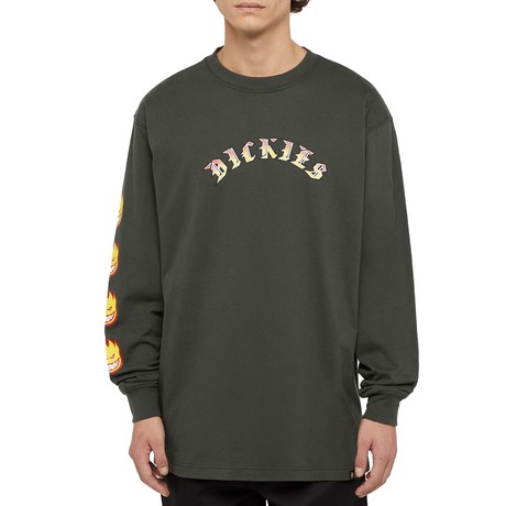 DICKIES — D0A86640OG