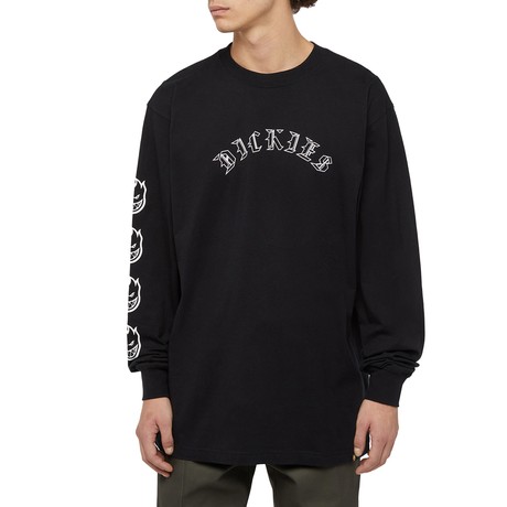 DICKIES — D0A8664BLK