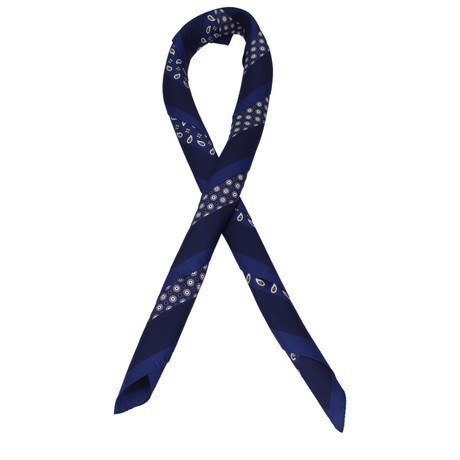 Foulards Max Mara blu &mdash; foto 1