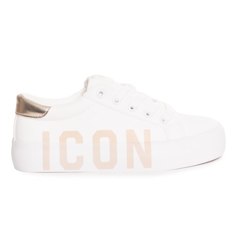 ICON — IC04757SD