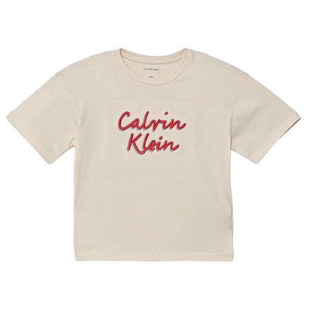 Marškinėliai Calvin Klein Jeans whitecap gray &mdash; fot 3